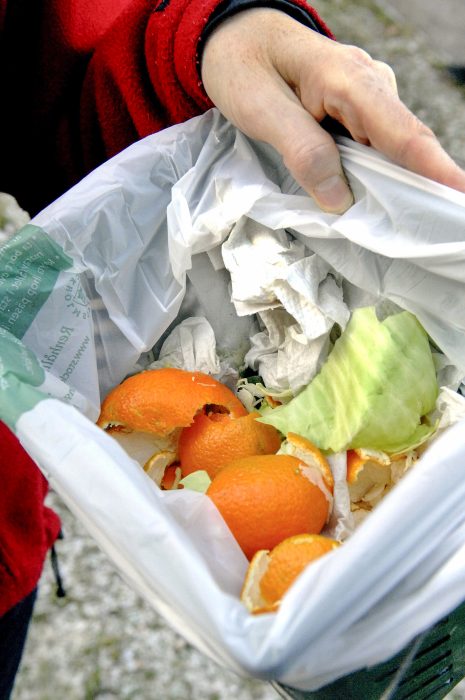 I Uppsala samlas cirka 14 000 ton matavfall in för biogas från hushåll och verksamheter som slakterier, restauranger och mataffärer