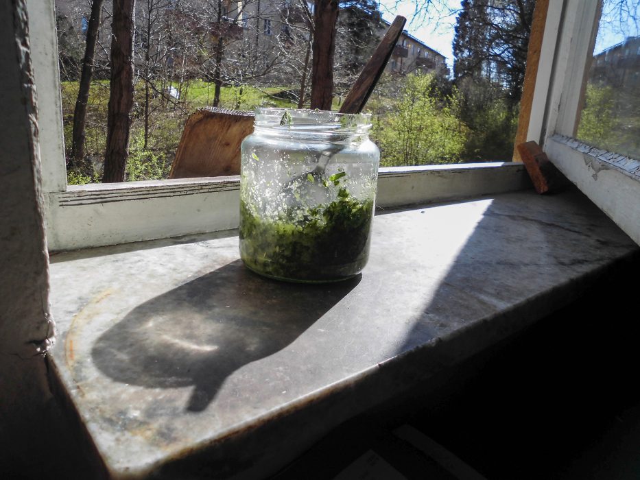 Salt, olivolja och finklippt körvel och ramslök blev ett gott kryddsmör