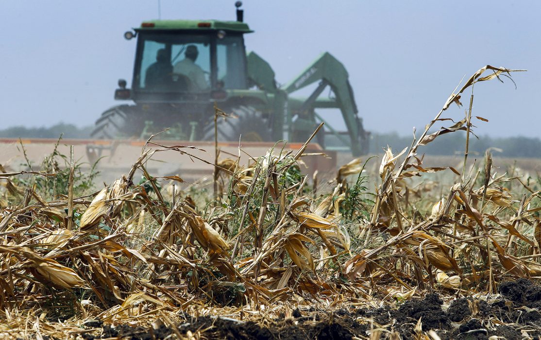 Drought Ag Losses