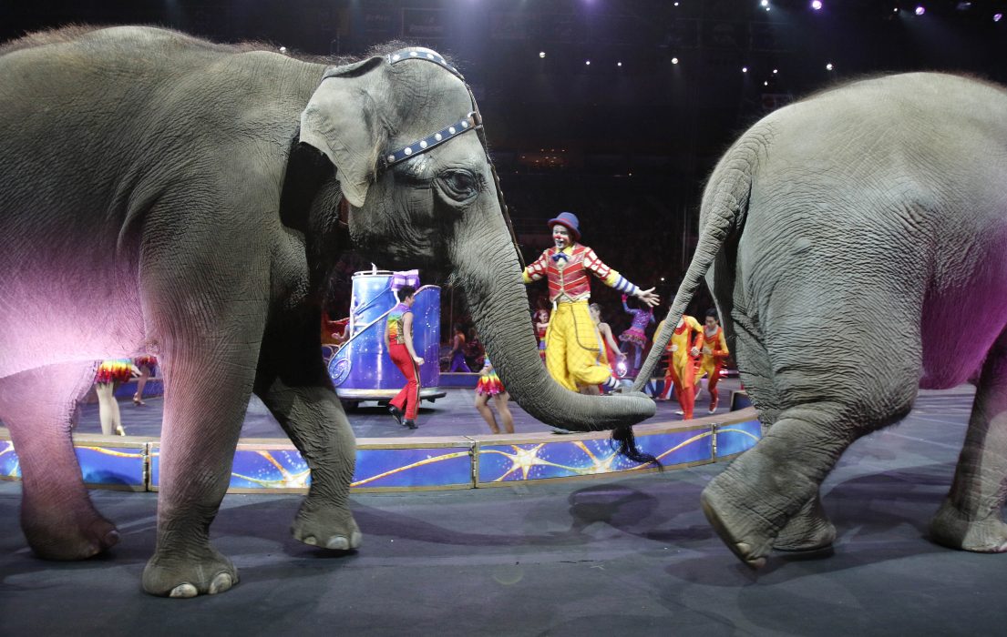 Foto: Bill Sikes/AP/TT