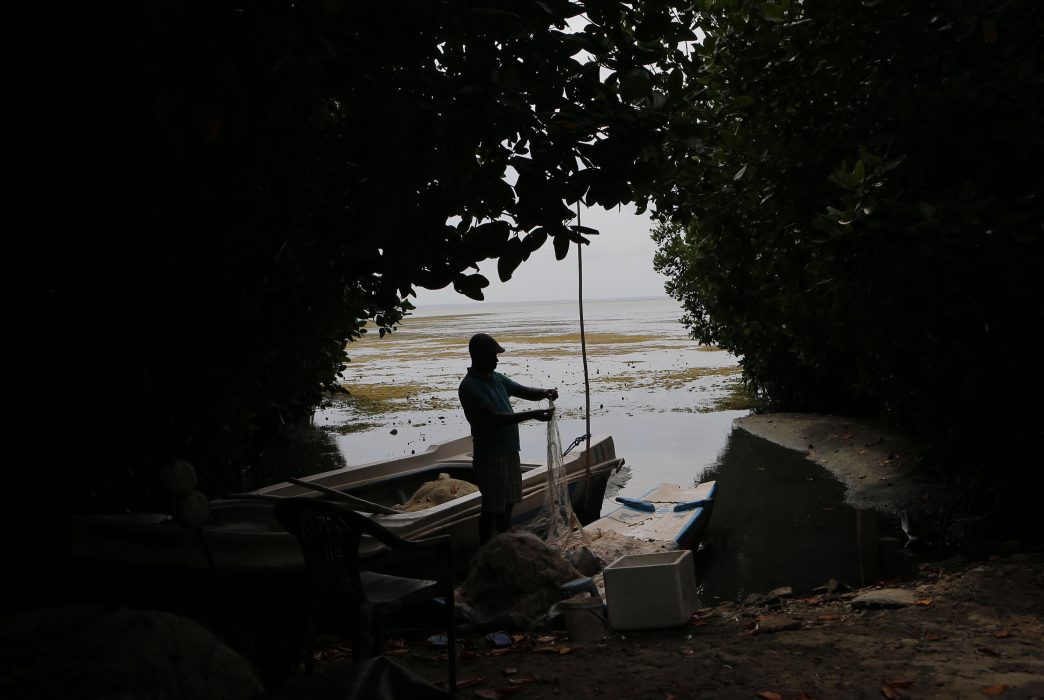 Foto: Erana Jayawardena/AP/TT