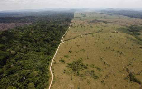 Foto: Andre Penner/AP/TT