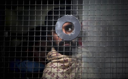 Foto: Altaf Qadri/AP/TT