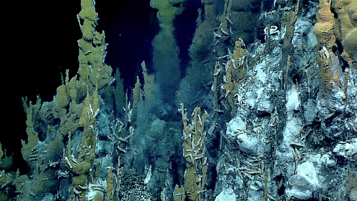 2016 Deepwater Exploration of the Marianas Foto: NOAA Ocean Explorer