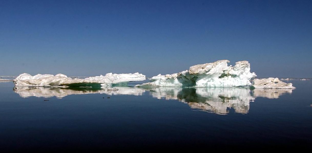 Laura Rauch/AP/TT | Vattnet i Norra ishavet har blivit allt mer försurat de senaste decennierna, enligt en ny studie.