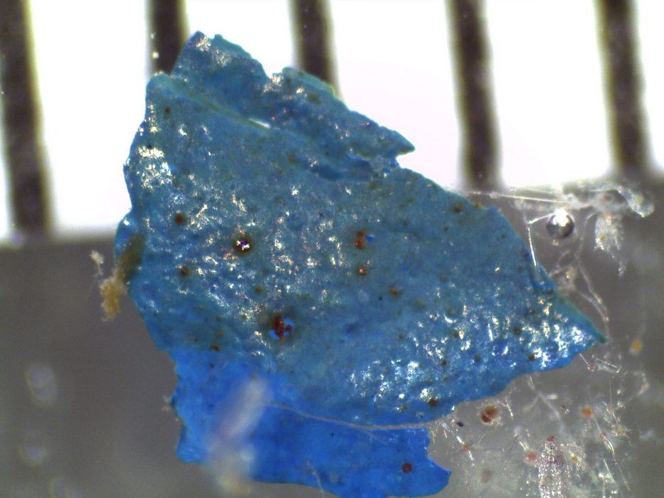 Plastfragment i förstoring