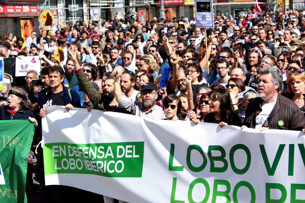 157-16-protest-varg-12 copy
