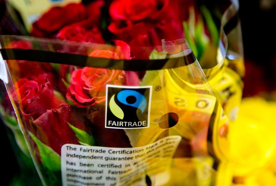 Adam Ihse/TT | Rosor är Fairtrades absoluta storsäljare.