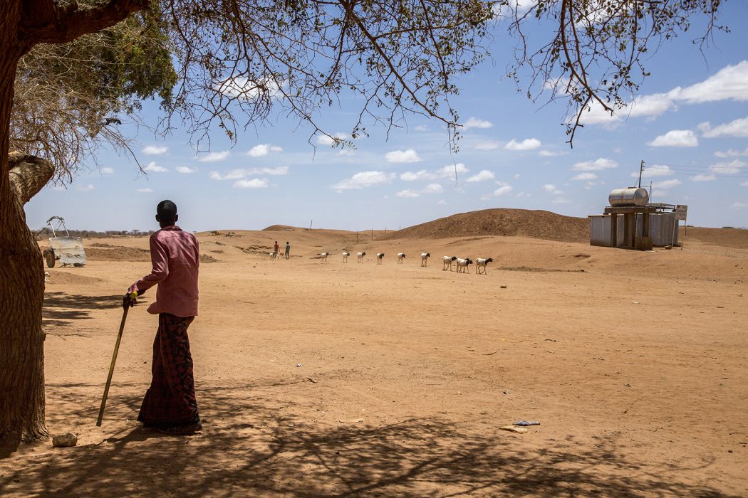 Arndt Peltner | FN talar om att 20 miljoner människor i länder som Nigeria, Sydsudan, Jemen och Somalia är drabbade av den långvariga torkan och står vid katastrofens rand.