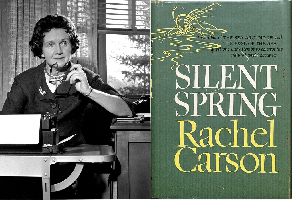 Den kemisk-tekniska industrin angrep Rachel Carson hårt för boken Silent spring