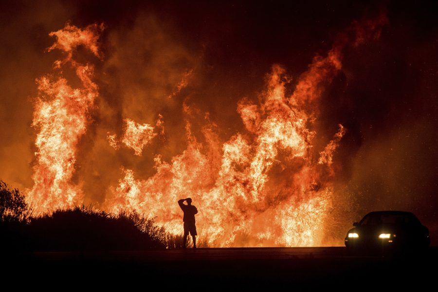 Noah Berger/AP/TT | Den stora skogsbranden, kallad Thomas, härjade över 110 000 hektar i Kalifornien i december.