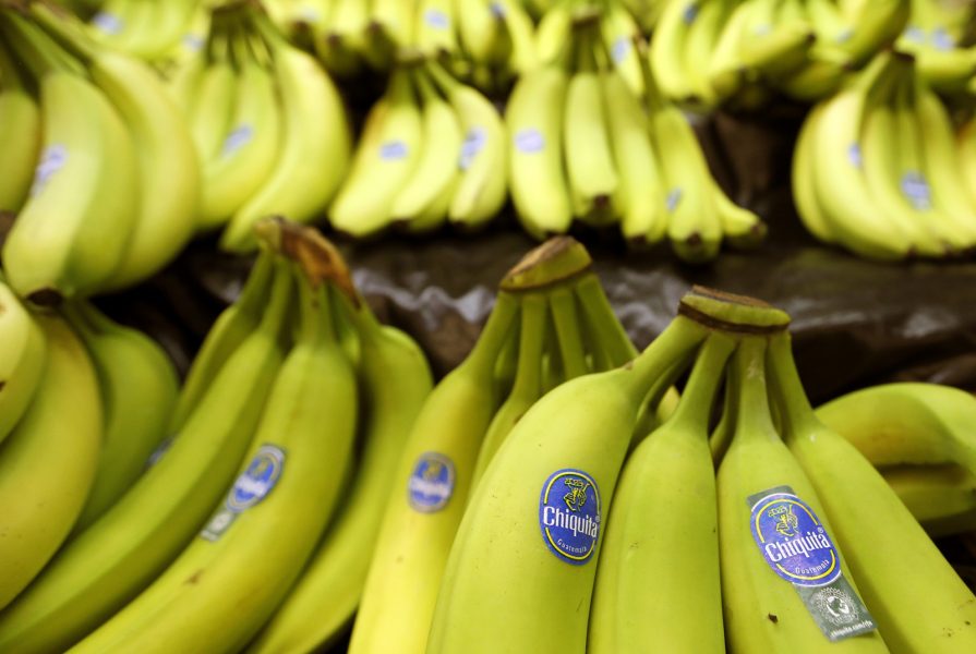 Keith Srakocic/AP/TT | Bananjätten Chiquita Brands International har gjort upp om förlikning med sex amerikanska familjer som anklagar dem för att gett ekonomiskt stöd till gerillan Farc på 90-talet.