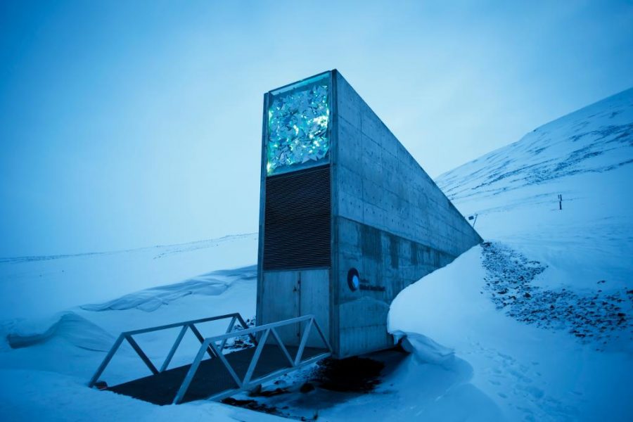 FOTO: Heiko Junge/TT/NTB | I "domedagsvalvet" på Svalbard finns runt 900 000 djupfrysta fröer från hela världen.