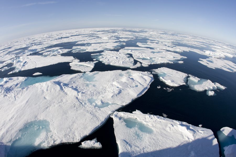 Jonathan Hayward/AP | Sverige måste visa mod och gå i bräschen för klimatomställningen menar företrädare för tankesmedjan Fores.