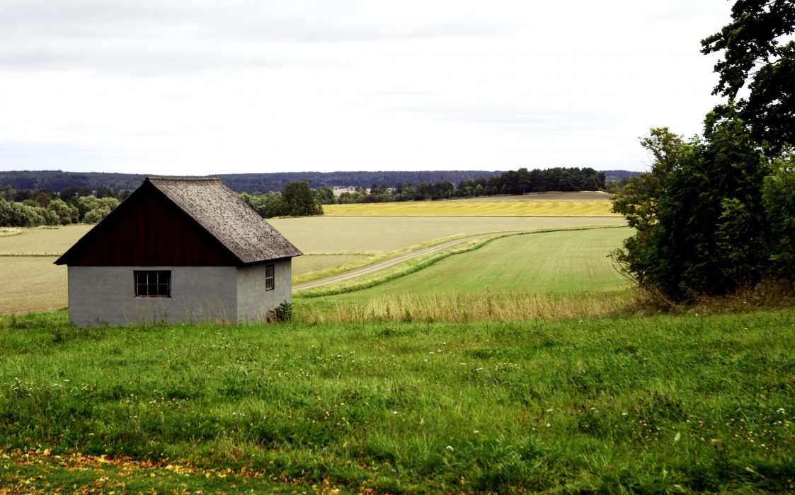 Hasse Holmberg/Scanpix | Regeringens nya landsbygdsproposition utgörs främst av målsättningar och en långsiktig inriktning för svensk landsbygdspolitik, snarare än konkreta nya åtgärder.