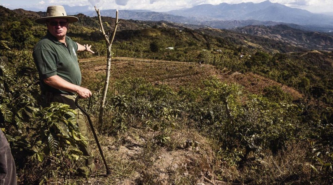 Miriett Ábrego/IPS | Donald Vásquez visar upp kaffeodlingar på en plats i ﬂodområdet Barranca-Jesús María i västra Costa Rica där jordarna håller på att utarmas.