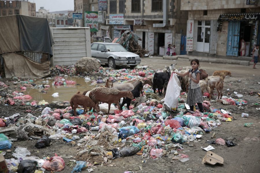 Hani Mohammed/AP/TT | En flicka letar igenom en skräphög på en gata i Sanaa i Jemen.