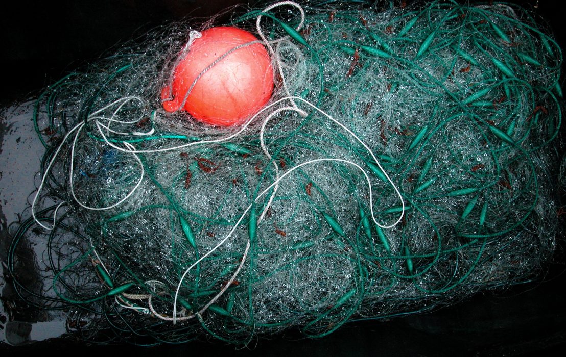 Hasse Holmberg/Scanpix | Uttjänta fiskenät ställer till problem för djurlivet i Östersjön.
