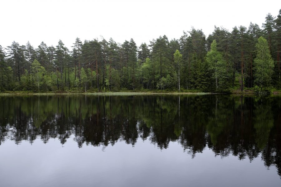 Vidar Ruud/NTB Scanpix | En markägare gjorde en egen, olaglig sjö.