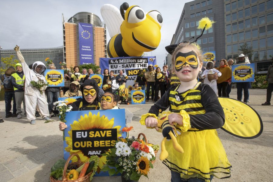 Olivier Matthys/AP/TT | Utklädda demonstranter under en manifestation i Bryssel inför EU-ländernas beslut om bekämpningsmedel.