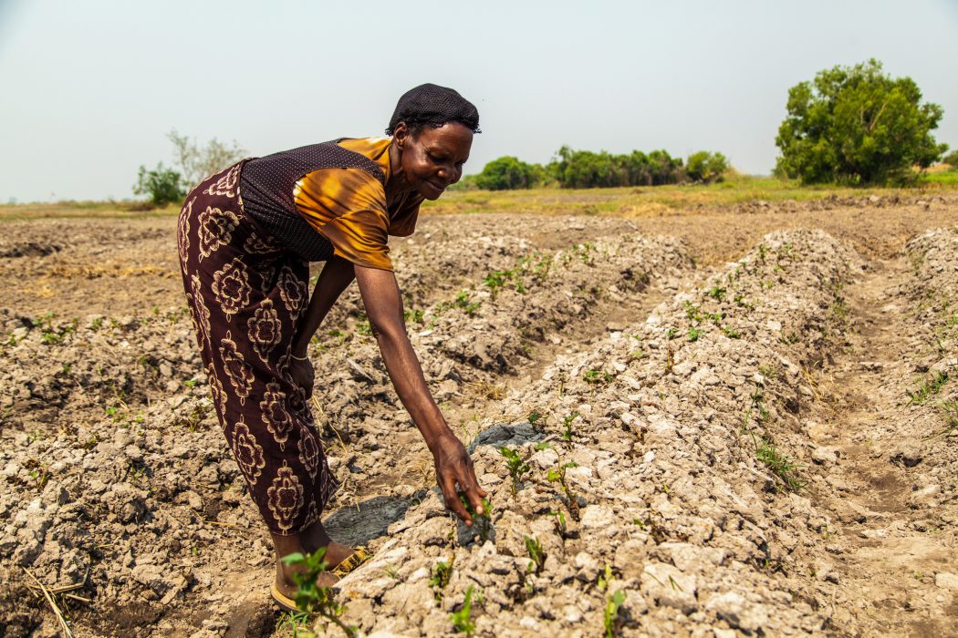Clayton Smith/flickr | ifuniso Imbuwa planterar grödor vid Barotse, Zambia.