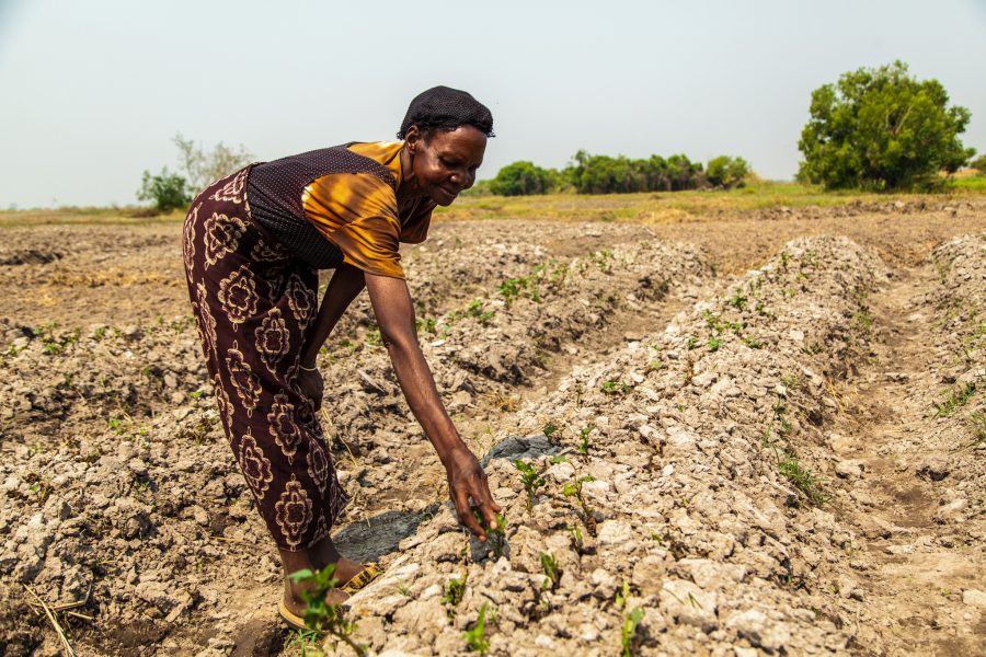 Clayton Smith/flickr | ifuniso Imbuwa planterar grödor vid  Barotse, Zambia.