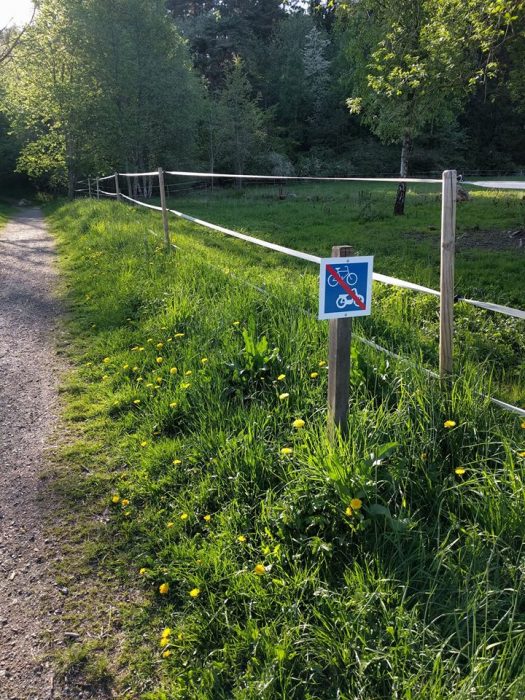 Rickard Petersson | I Mölndal har kommunen satt upp skyltar om cykelförbud i Änggården, trots at det är tillåtet.
