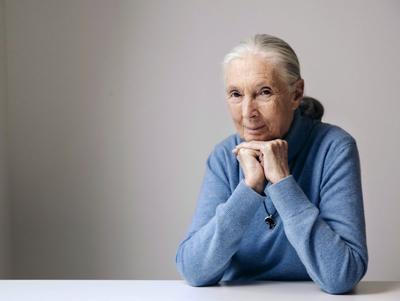 Victoria Will/AP/TT | Schimpansforskaren Jane Goodall har hunnit bli 84 år.