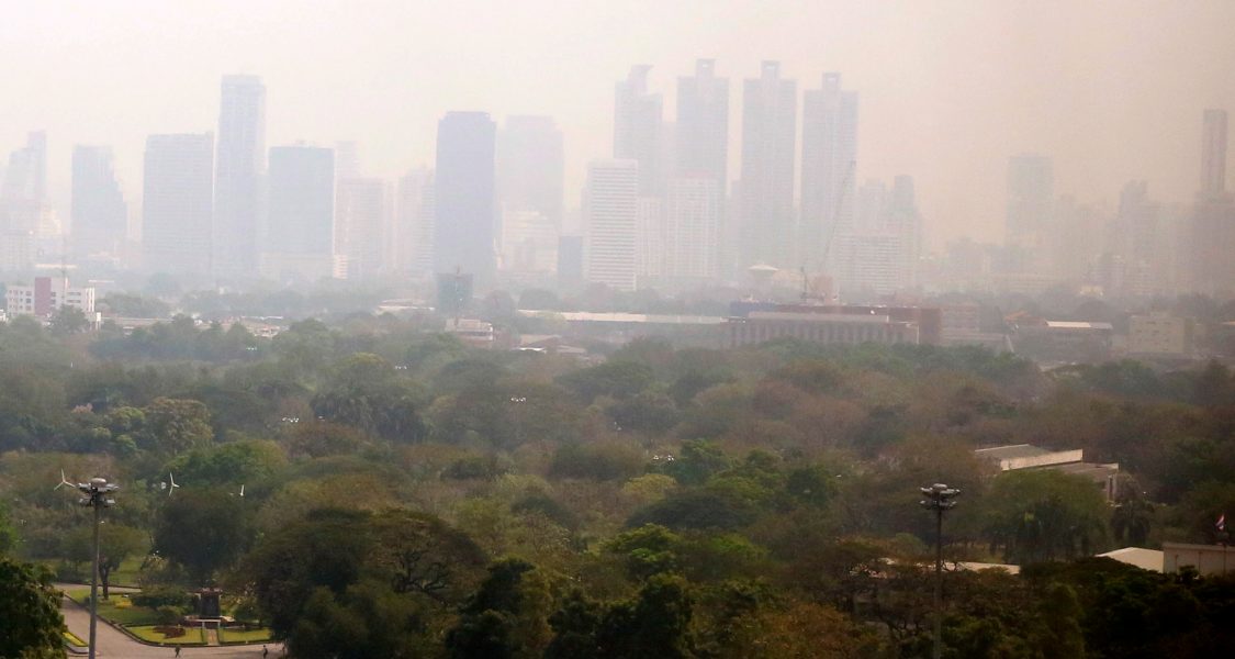 AP/TT | Miljoner människor dör i förtid varje år på grund av luftföroreningar.