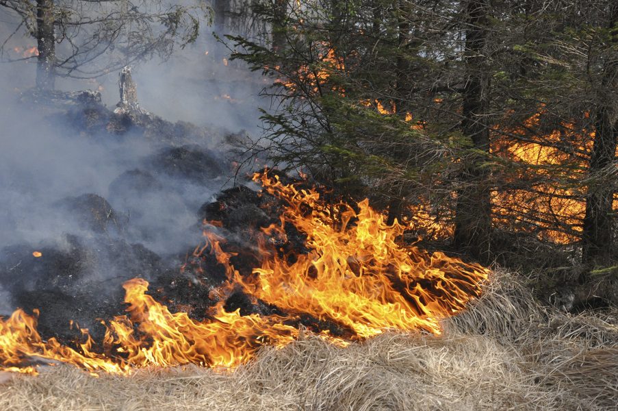 TT | Engångsgrillar orsakar lätt markbränder, varnar räddningstjänsten.
