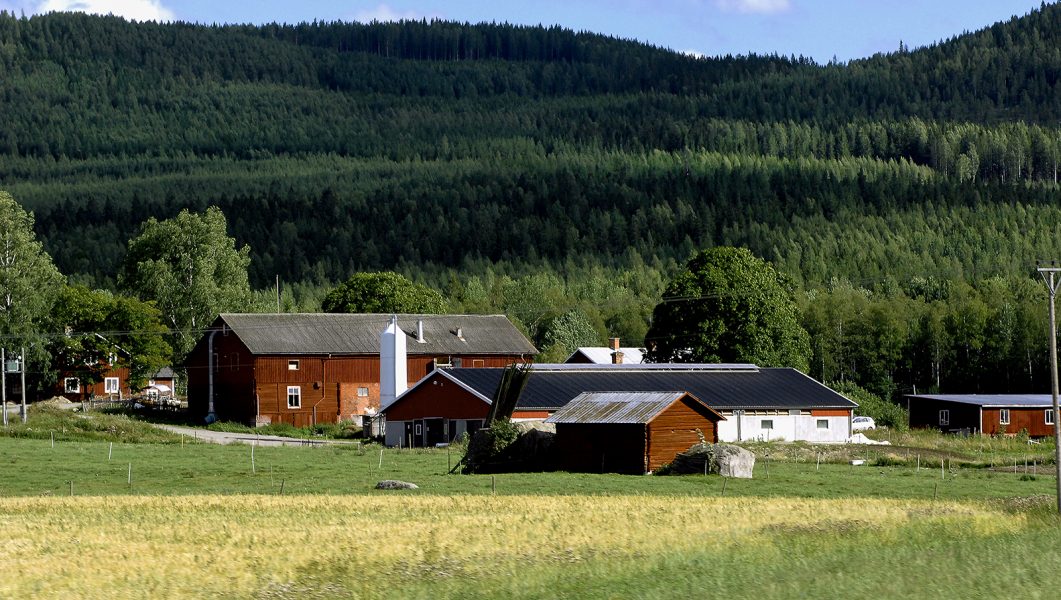 Hasse Holmberg/TT | Jordbruket i Stockholmsregionen ska stöttas genom att kommunen ställer krav i upphandlingarna, menar Centerpartiet.