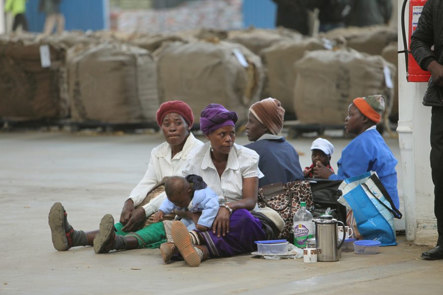 Tsvangirayi Mukwazhi/AP/TT | Tobaksodlare med sina barn i Harare i Zimbabwe.