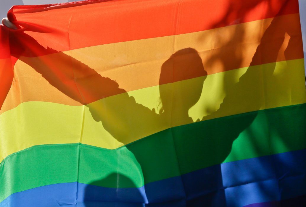 Foto: Efrem Lukatsky/ AP/ TT | En demonstrant under Kievs första pridetåg 2015.