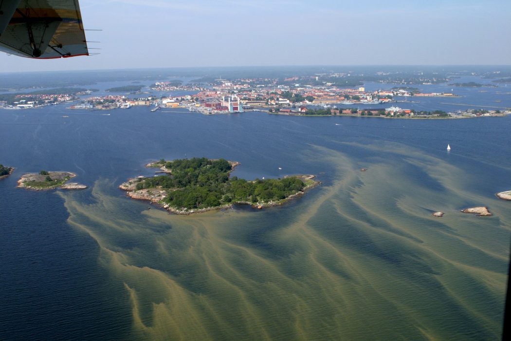 Kustbevakningen/TT | Algblomning i Östersjön utanför Karlskrona under sommaren 2006.