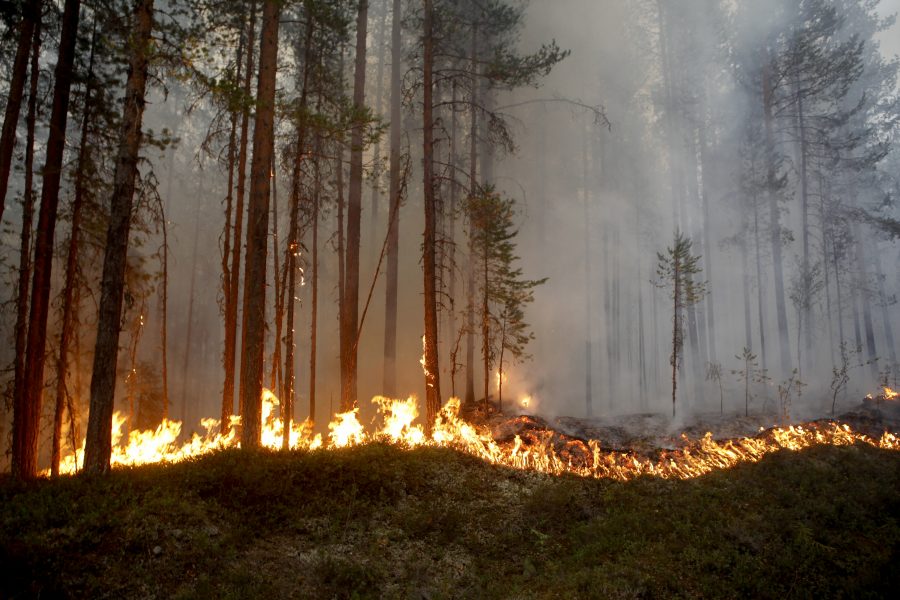 Mats Andersson/TT | Skogsbranden i Ljusdal är fortfarande utom kontroll, och risken för fler bränder är stor i hela landet.
