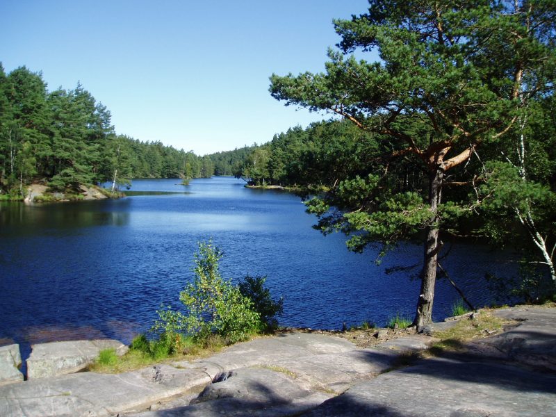 Uno Schröter/Wikimedia commons | Stora Stentjärnen i Vättlefjälls naturreservat.