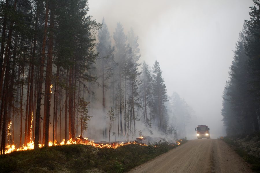Mats Andersson/TT | Alliansen kräver ett extrainkallat försvarsutskott med anledning av de många skogsbränder som rasar i Sverige.
