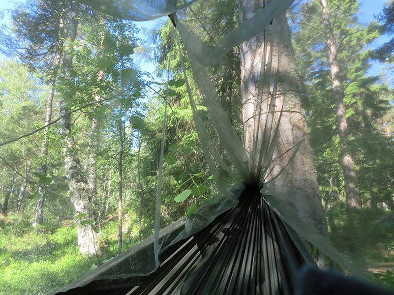Nackareservatet, sett genom myggnätet i en campingsovsäck.