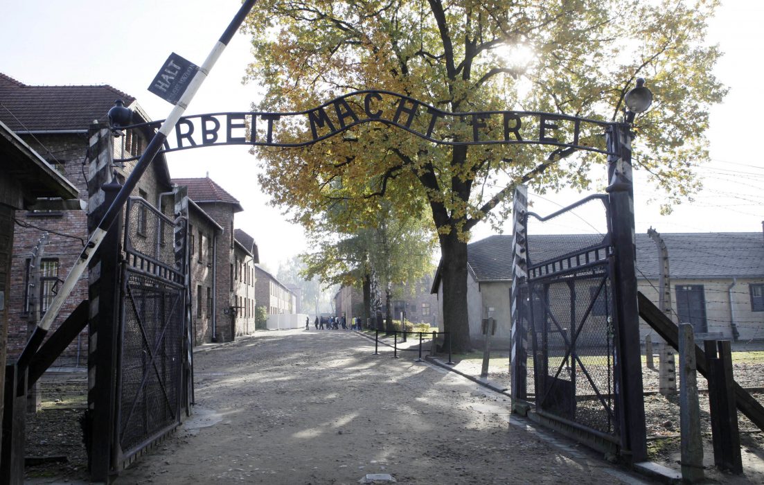 Czarek Sokolowski/AP/TT | Förra året reste runt 44 000 svenskar till Auschwitz.