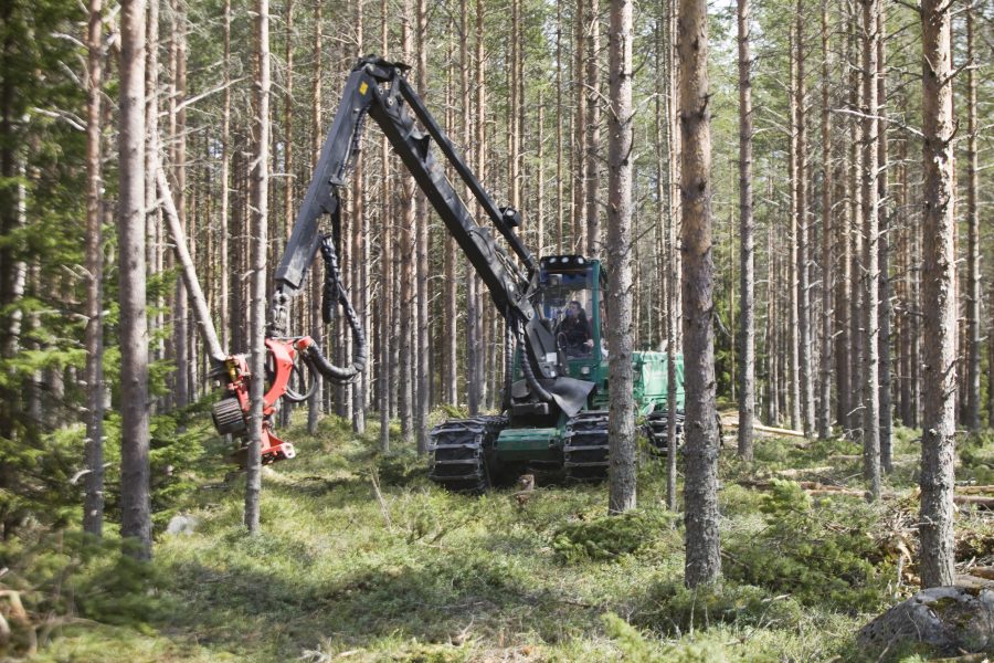 Johan Gunséus / TT | I samband med skogsarbete och markberedning skadas många historiska forn- och kulturlämningar.