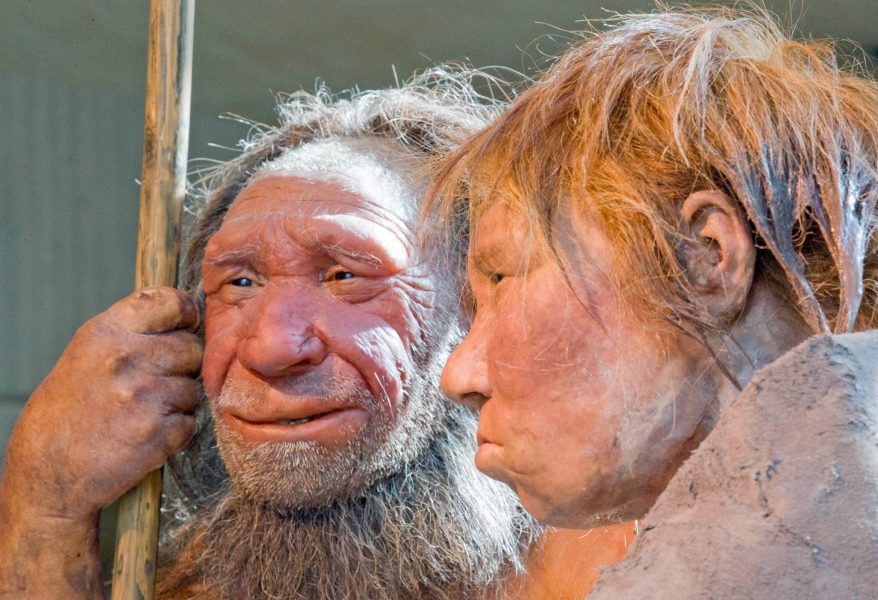 Martin Meissner/AP/TT | Rekonstruktion av två neandertalare, en man och en kvinna.