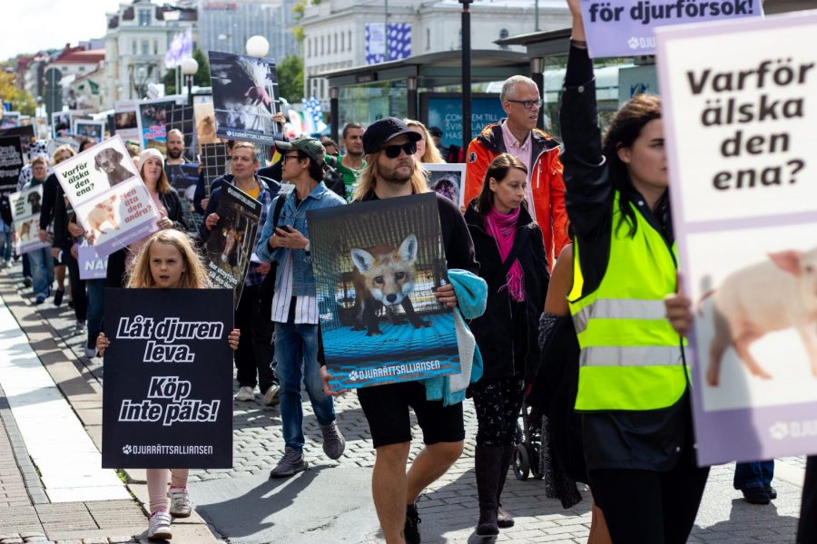 Djurrättsalliansen | Omkring 300 personer deltog i lördagens Djurrättsmarsch i Göteborg, som anordnades för andra året i rad.