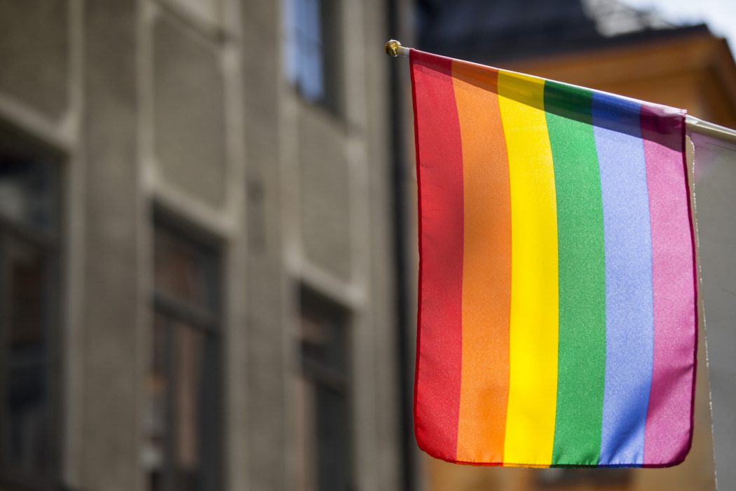 Christine Olsson/TT Vi står inför ett ödesval för hbtq-politiken.