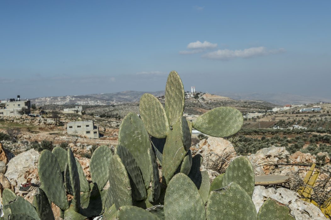 Yvonne Åsell/SvD/TT || Israeliska soldater sköt den norska kvinnan i magen i samband med en protest i byn Kufr Qaddoum utanför Nablus på Västbanken.