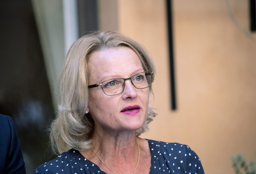 Christine Olsson/TT  | Migrationsminister Helène Fritzon (S) kallades till riksdagens socialförsäkringsutskott för att redogöra för regeringens planer för de ensamkommande som ska få en ny chans att stanna i Sverige.