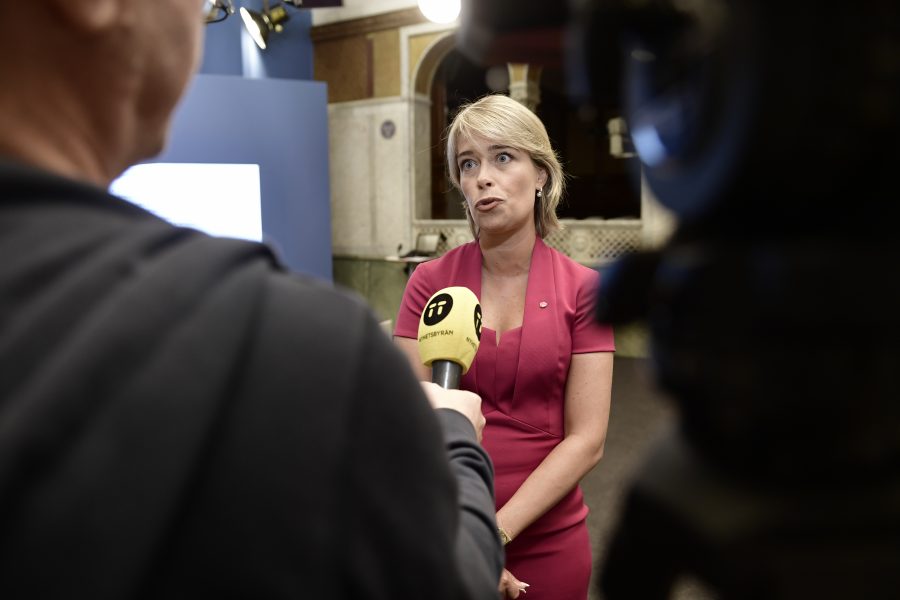 Stina Stjernkvist/TT | Socialminister Annika Strandhäll (S) vill förbjuda utförsäljningar av akutsjukhus.