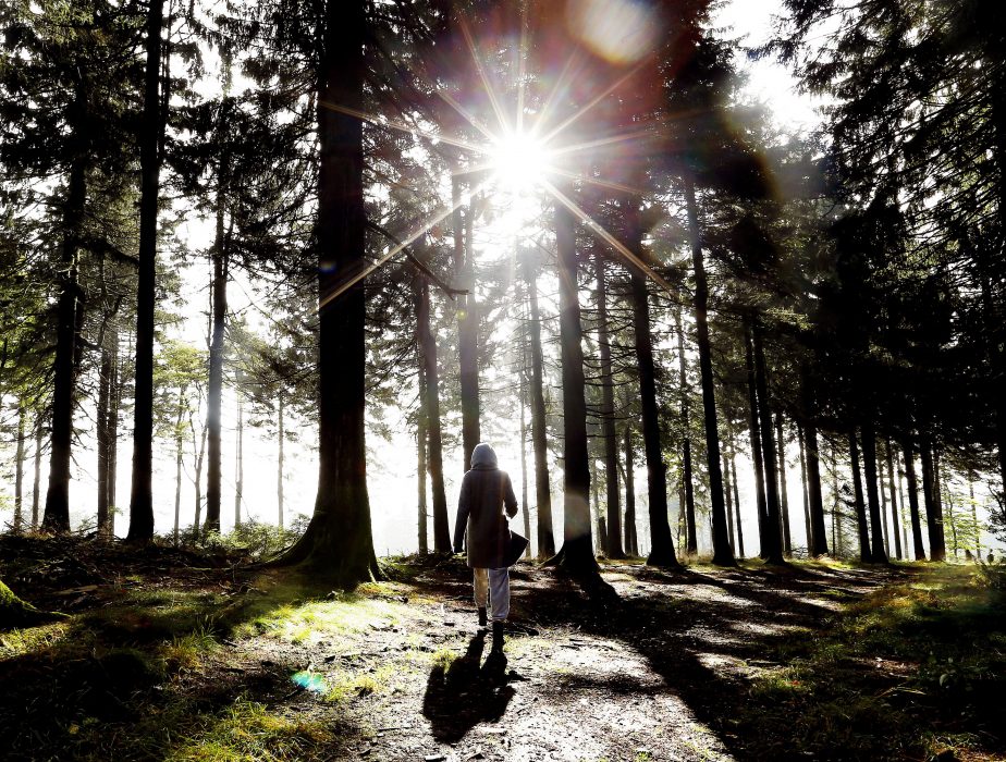 Michael Probst/AP | Det räcker med att vistas ute i solen ungefär en halvtimme två, tre gånger i veckan under sommaren för att vara fulladdad med D-vitamin.