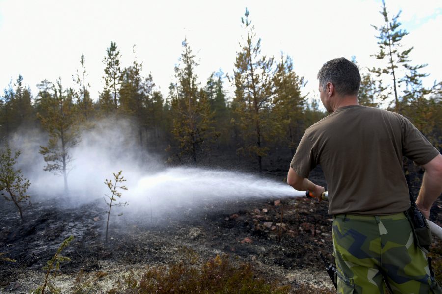 Drygt hälften av Sveriges samebyar lider i sviternas av sommarens bränder, enligt Sametinget.