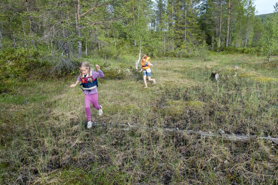Gorm Kallestad/NTB Scanpix | I en undersökning från STF och Novus uppger hälften av alla tillfrågade föräldrar att deras barn inte vistas i naturen tillräckligt ofta.