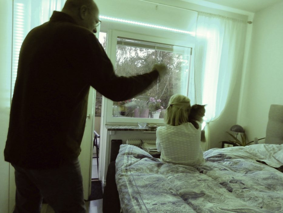 Birgitta Wiberg | När kvinnan misshandlas stoppar det inte där om det finns djur i närheten.